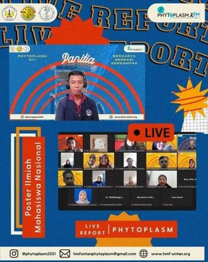 phytoplasm 3 afe25774